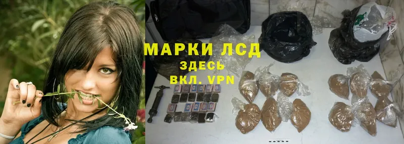 Где купить Болотное АМФЕТАМИН  МЕТАДОН  Мефедрон  Гашиш  Cocaine 